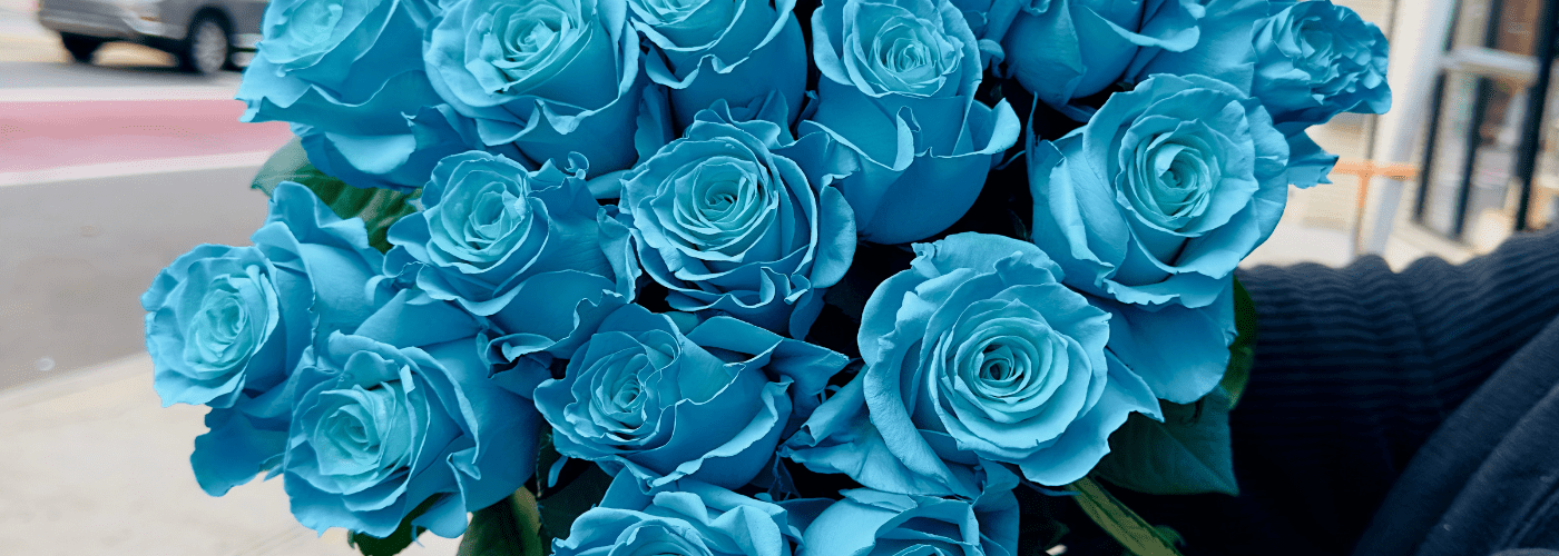 A bouquet of blue roses held by a person.