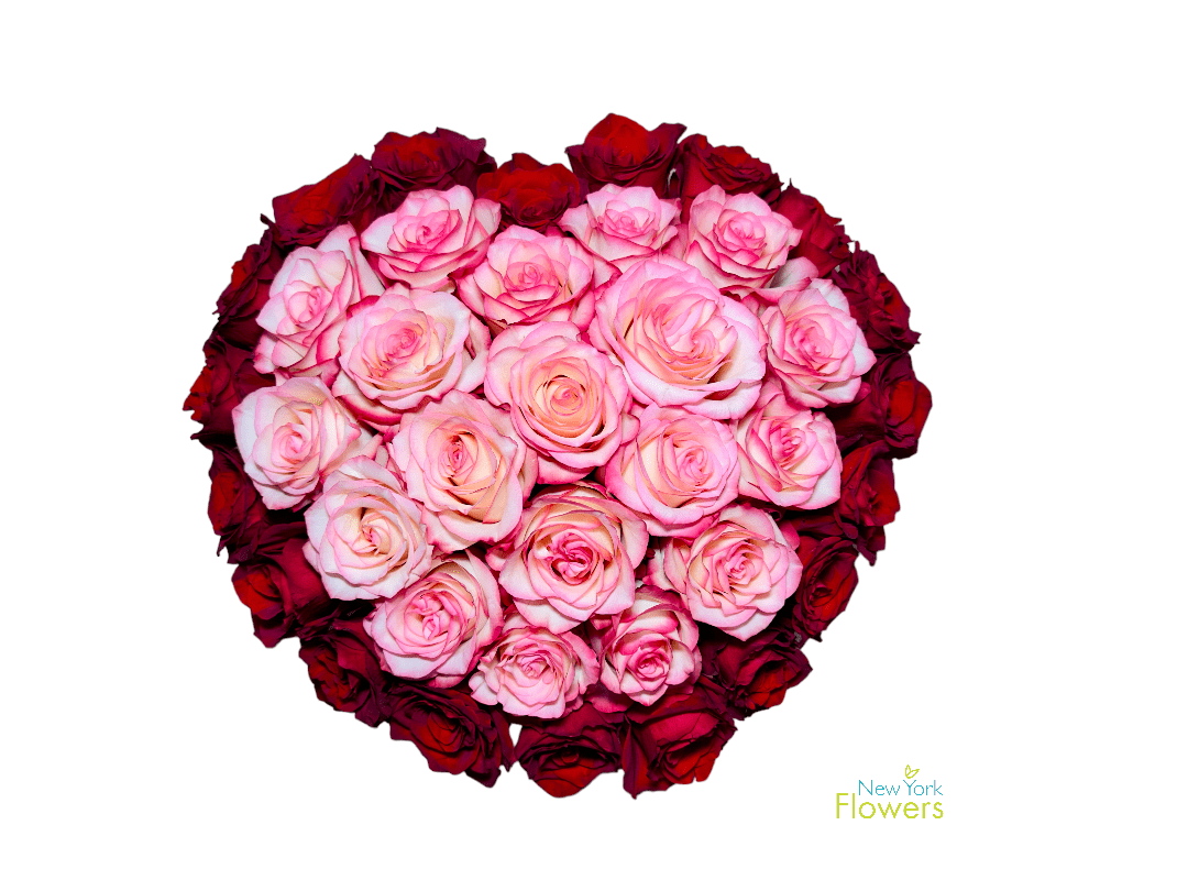 Arrangement of red and pink roses in a heart shape on a white background.