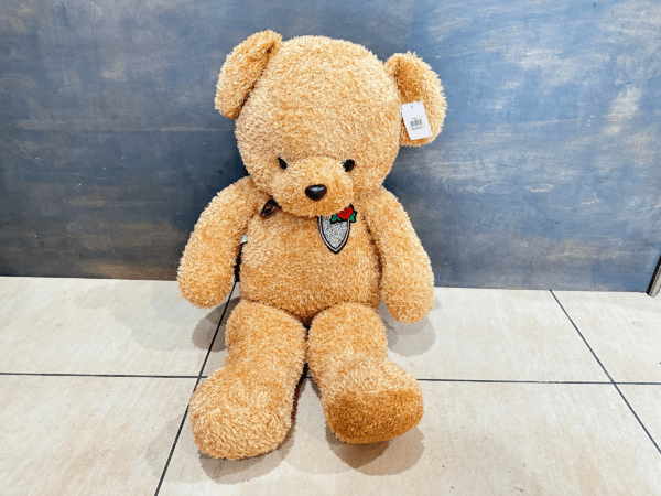 LITTLE SOFTIE BROWN TEDDY BEAR - Image 2