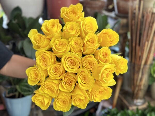 12 Yellow Premium Roses Bouquet - Image 3