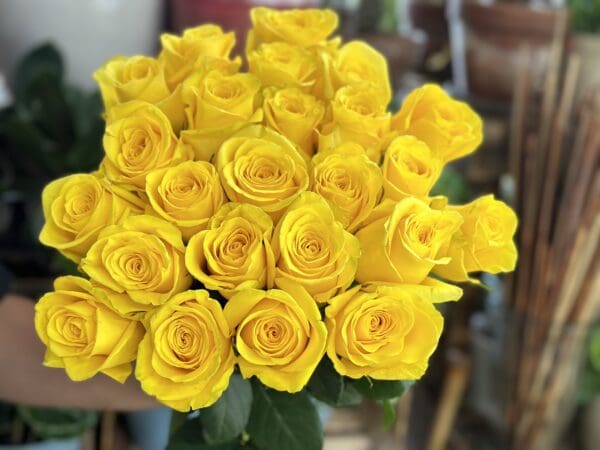 12 Yellow Premium Roses Bouquet