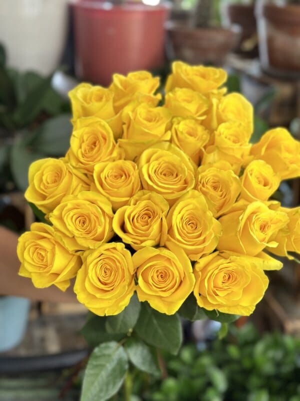 12 Yellow Premium Roses Bouquet - Image 2